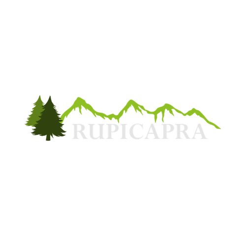 Customer Logo 5